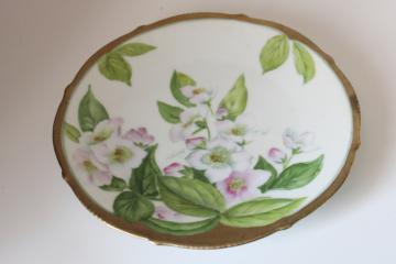 antique Tirschenreuth Bavaria porcelain plate, factory hand painted floral, signed