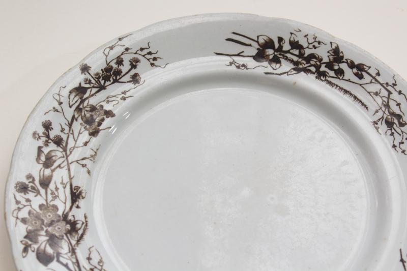 antique Turner's English ironstone china plate, black-brown transferware aesthetic floral