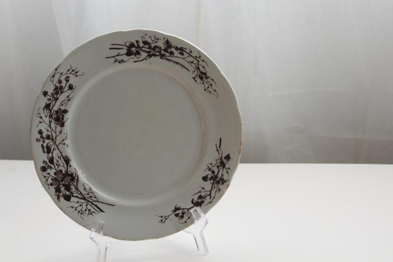 antique Turner's English ironstone china plate, black-brown transferware aesthetic floral