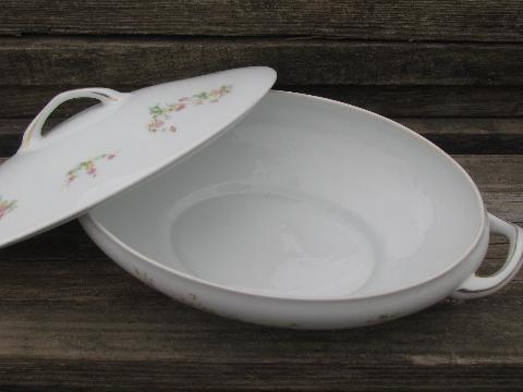 antique Victoria - Austria china, porcelain covered dish, gravy, bowl