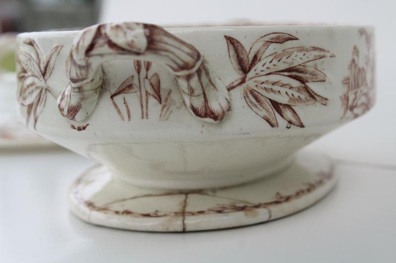 antique brown transferware china covered dish, Indus aesthetic birds botanical pattern