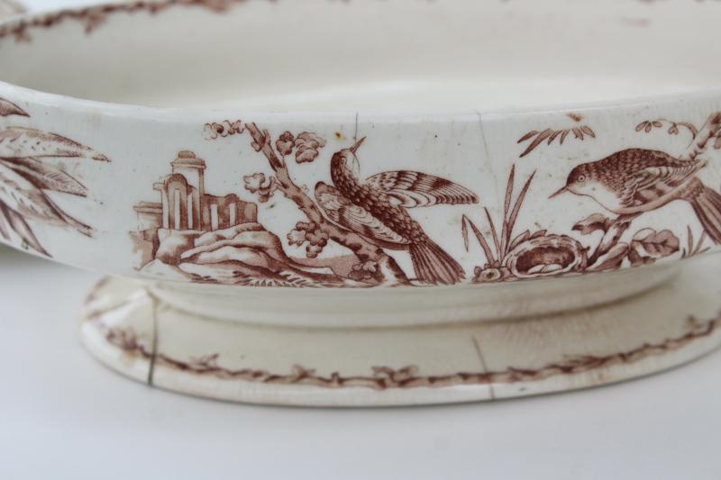 antique brown transferware china covered dish, Indus aesthetic birds botanical pattern