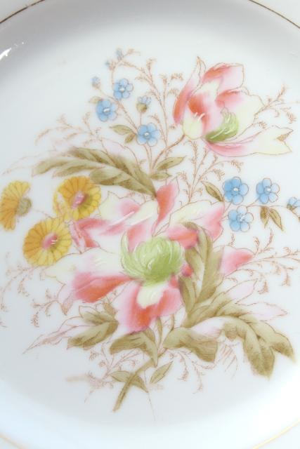 antique china w/ hand painted flowers, pretty floral designs - set of 10 salad / dessert plates