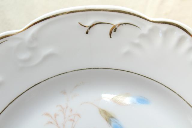 antique china w/ hand painted flowers, pretty floral designs - set of 10 salad / dessert plates