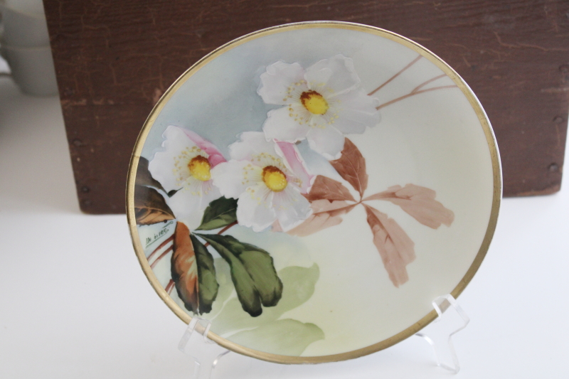 antique china plate Imperial Austria Handpainted, factory painted artist signed early 1900s backstamp