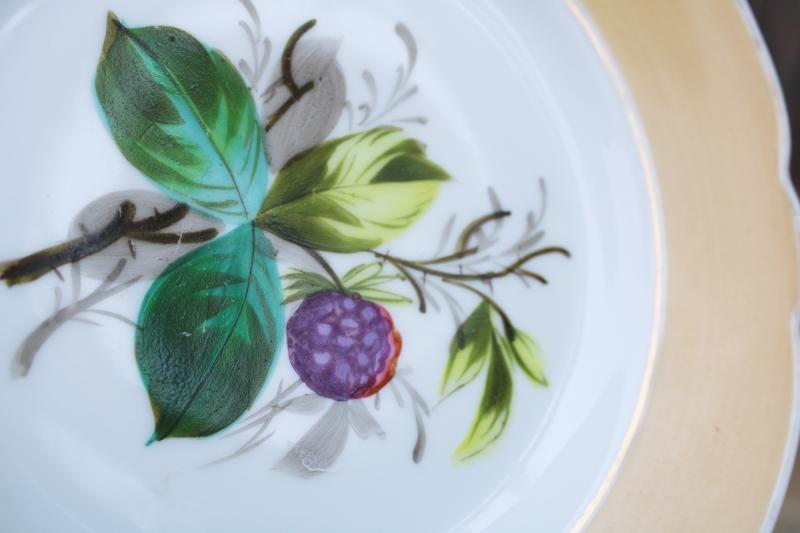 antique china plates w/ hand painted fruit, shabby chic rustic wedding vintage dishes