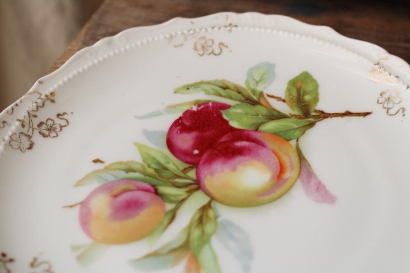 antique fruit pattern china plates, early 1900s vintage dessert set w/ different fruits