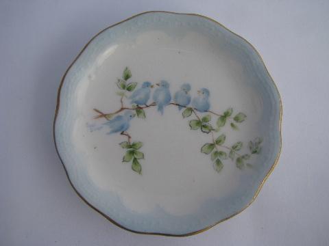 antique hand-painted butter pat plate, family of bluebirds, vintage bluebird china