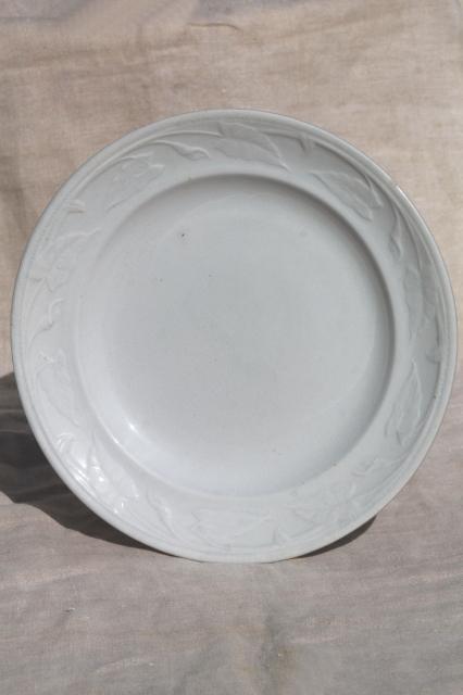 antique ironstone china plates, plain white Wedgwood & embossed lily morning glory vine
