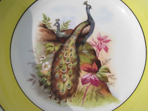 antique vintage Bavaria china, large bowl w/ peacock