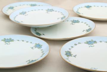 antique vintage MZ Austria porcelain plates, blue forget me not hand painted china