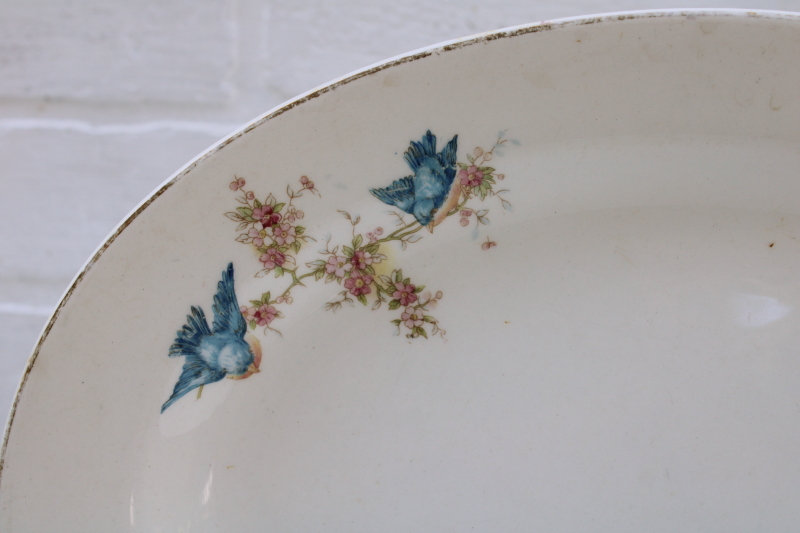 antique vintage bluebird china platter, browned stained old china w/ bluebirds pattern, blue bird of happiness