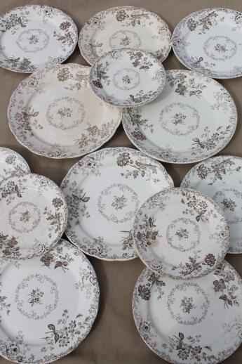 antique vintage brown transferware china plates, Chelsea pattern English Staffordshire