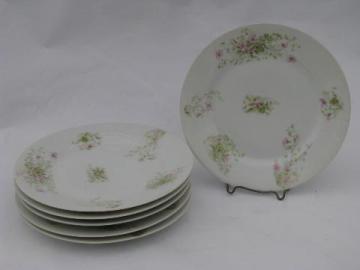 antique violet floral French china plates set of six, vintage AH & Co France china