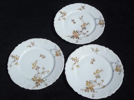 assorted antique Haviland Limoges china plates, lot fall floral patterns