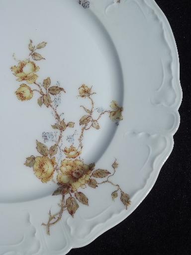 assorted antique Haviland Limoges china plates, lot fall floral patterns