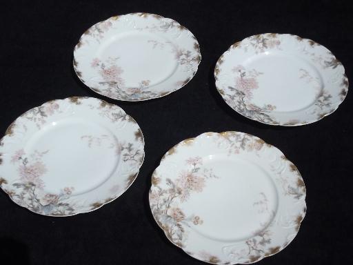 autumn asters floral antique Haviland Limoges french china salad plates