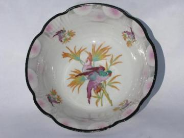 big porcelain bowl w/ painted parrot, antique German china, vintage Germany