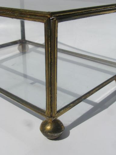 brass edged glass display box for treasures or natural history mounts