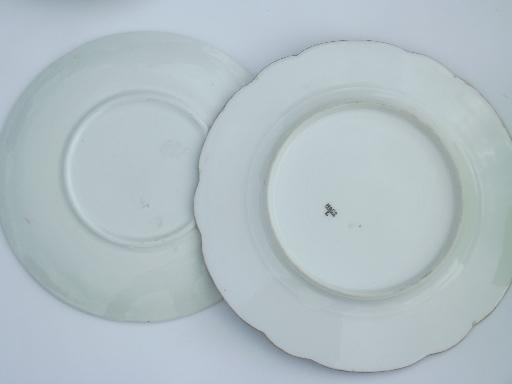 collection of vintage hand-painted china plates w/ fall fruit & flowers