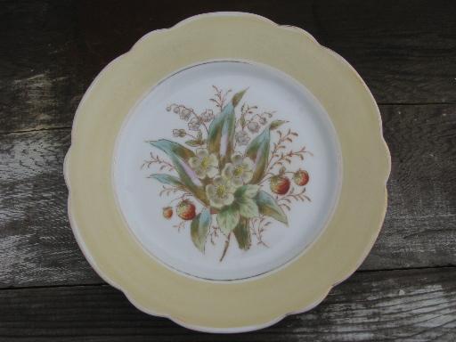 fruit and flowers, antique hand-painted china plates w/ colored borders
