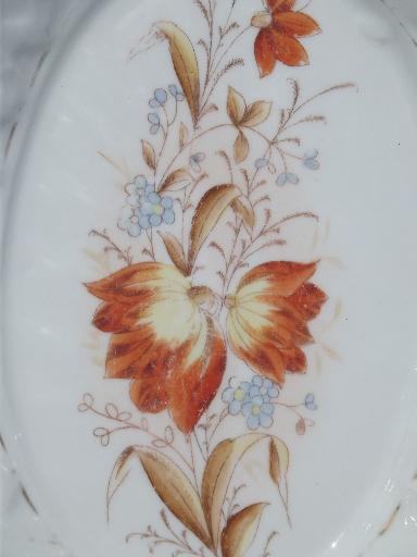 gaudy tulips spring flowers transferware china vegetable bowl, c. 1910