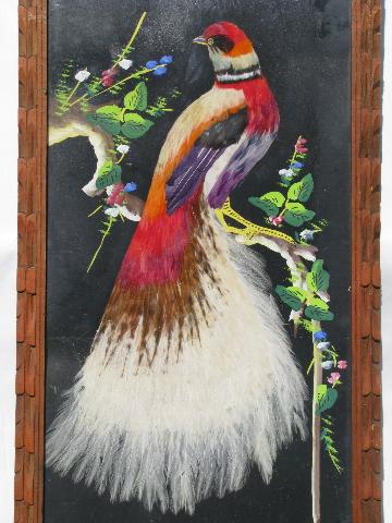 huge feather bird pictures in carved wood frames, vintage Mexico
