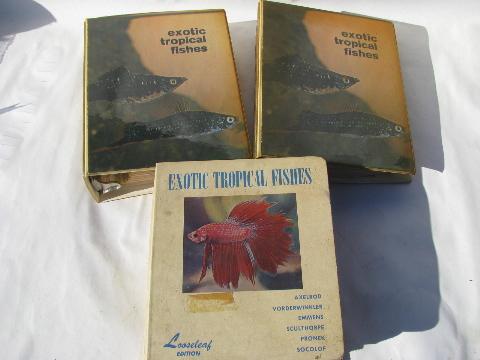 huge lot of books on breeding & raising exotic tropical aquarium fish