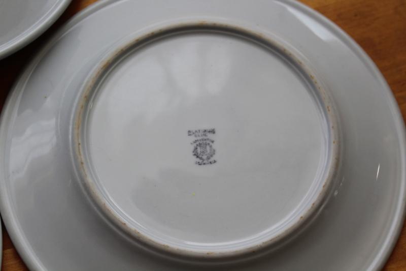 ice blue - white ironstone china, vintage restaurant ware dinner plates