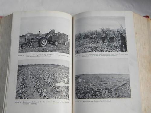 old 1940s vintage farm management textbook w/photos, fruit, dairy poultry etc