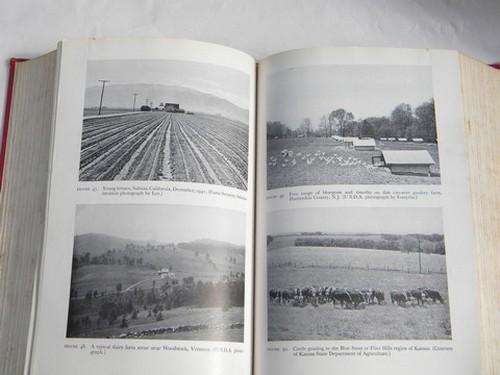 old 1940s vintage farm management textbook w/photos, fruit, dairy poultry etc
