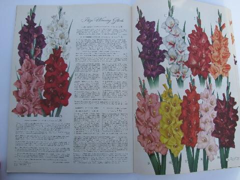 old 1950s Wards ''Garden Book'' catalog, full color litho illustrations