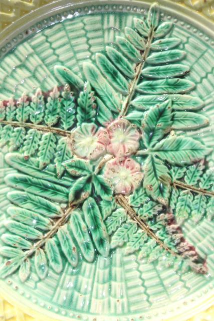 old antique majolica plate, ferns & flowers unknown maker faience pottery unmarked