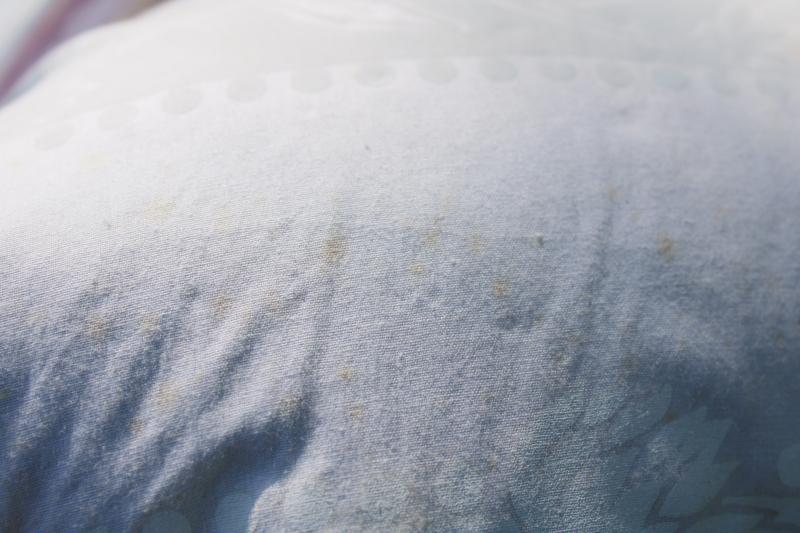pair vintage feather pillows in Harris cotton ticking fabric, all white farmhouse style