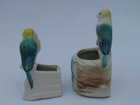 parrots & lovebirds, vintage pottery wall pocket & planter vases collection