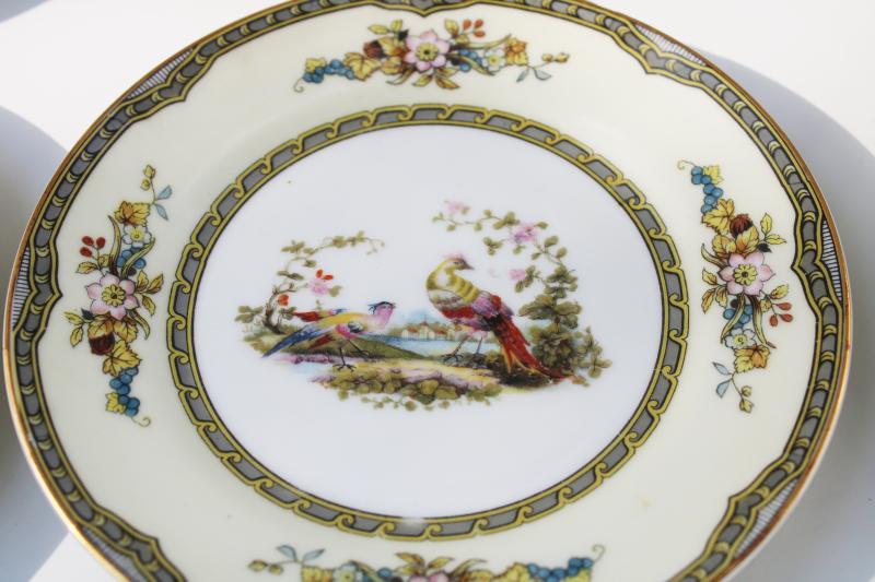 pheasants pattern vintage Windsor Noritake M mark china bread plates hand painted birds
