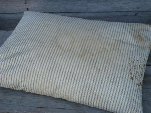 primitive old feather pillows, vintage striped cotton ticking fabric