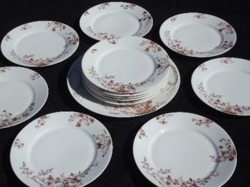 russet brown flowers antique Limoges - France china, 12 plates and platter