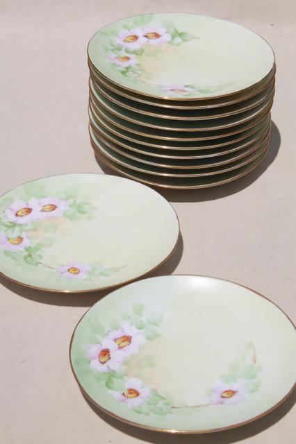 set of 12 antique Bavaria china plates w/ hand painted wild rose floral