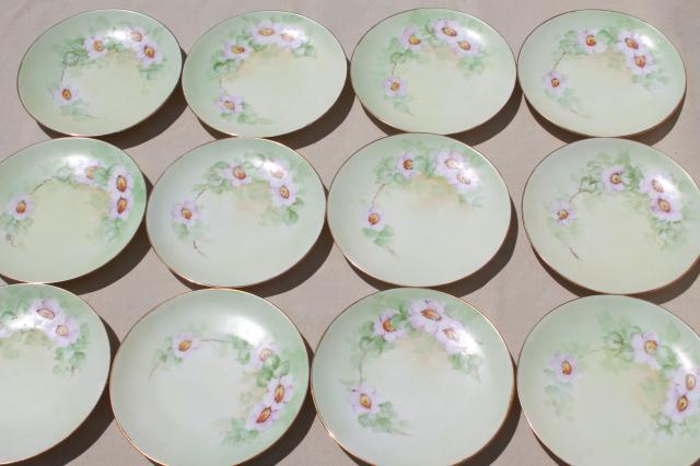 set of 12 antique Bavaria china plates w/ hand painted wild rose floral