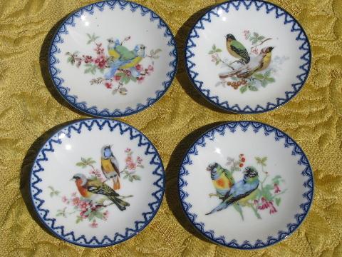 set of miniature vintage china plates w/ birds, cobalt blue border