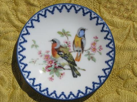 set of miniature vintage china plates w/ birds, cobalt blue border