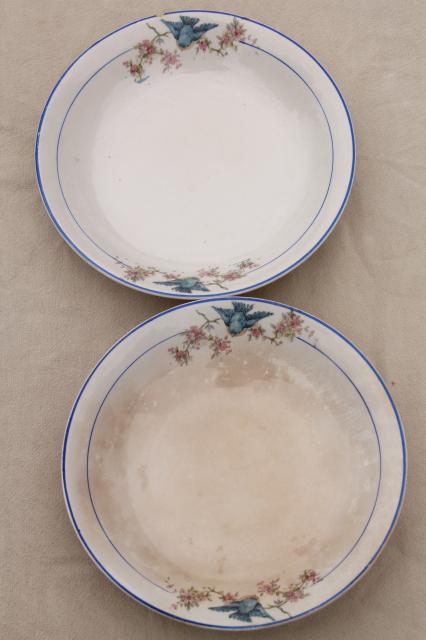 shabby antique bluebird china bowls, mismatched vintage china w/ blue birds