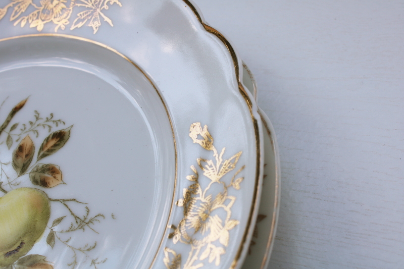 shabby vintage china plates w/ golden russet apples, antique engraving style botanical illustrations