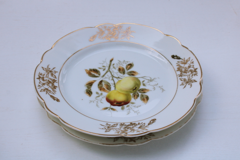 shabby vintage china plates w/ golden russet apples, antique engraving style botanical illustrations