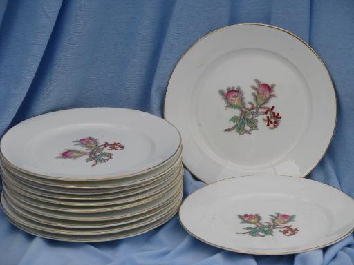 unmarked Haviland china moss rose center salad plates, antique set of 12