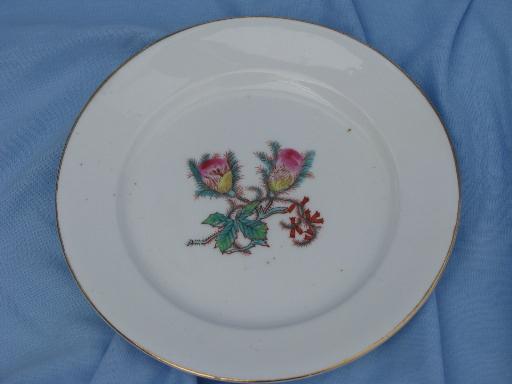 unmarked Haviland china moss rose center salad plates, antique set of 12