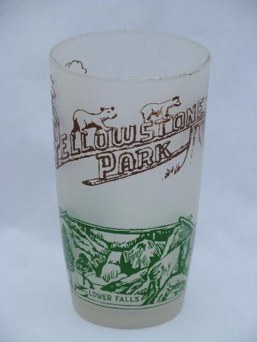 vintage 1950s Yellowstone souvenir glasses, 4 glass tumblers w/ bears