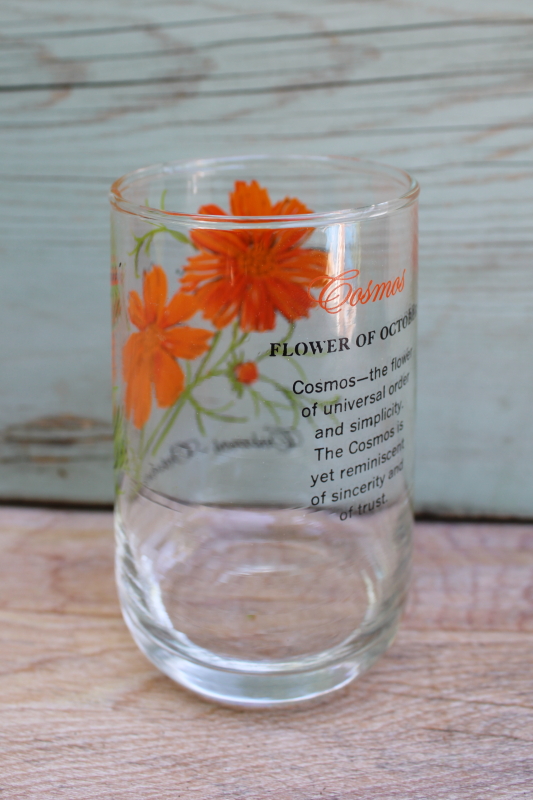 vintage Brockway glass Flower of the Month Cosmos print tumbler October birthday
