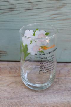 vintage Brockway glass Flower of the Month Narcissus print tumbler December birthday